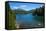 Crystal Clear Water in the Los Alerces National Park, Chubut, Patagonia, Argentina, South America-Michael Runkel-Framed Stretched Canvas