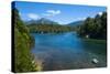 Crystal Clear Water in the Los Alerces National Park, Chubut, Patagonia, Argentina, South America-Michael Runkel-Stretched Canvas