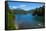 Crystal Clear Water in the Los Alerces National Park, Chubut, Patagonia, Argentina, South America-Michael Runkel-Framed Stretched Canvas