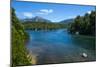 Crystal Clear Water in the Los Alerces National Park, Chubut, Patagonia, Argentina, South America-Michael Runkel-Mounted Photographic Print