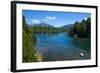 Crystal Clear Water in the Los Alerces National Park, Chubut, Patagonia, Argentina, South America-Michael Runkel-Framed Photographic Print