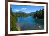 Crystal Clear Water in the Los Alerces National Park, Chubut, Patagonia, Argentina, South America-Michael Runkel-Framed Photographic Print