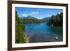 Crystal Clear Water in the Los Alerces National Park, Chubut, Patagonia, Argentina, South America-Michael Runkel-Framed Photographic Print