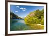 Crystal Clear Water in the Los Alerces National Park, Chubut, Patagonia, Argentina, South America-Michael Runkel-Framed Photographic Print