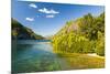 Crystal Clear Water in the Los Alerces National Park, Chubut, Patagonia, Argentina, South America-Michael Runkel-Mounted Photographic Print