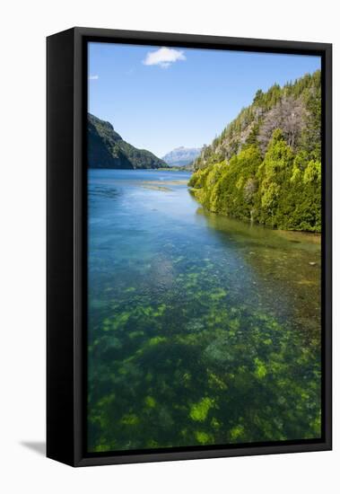 Crystal Clear Water in the Los Alerces National Park, Chubut, Patagonia, Argentina, South America-Michael Runkel-Framed Stretched Canvas