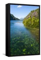 Crystal Clear Water in the Los Alerces National Park, Chubut, Patagonia, Argentina, South America-Michael Runkel-Framed Stretched Canvas