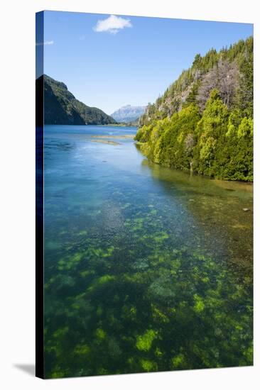 Crystal Clear Water in the Los Alerces National Park, Chubut, Patagonia, Argentina, South America-Michael Runkel-Stretched Canvas