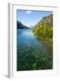 Crystal Clear Water in the Los Alerces National Park, Chubut, Patagonia, Argentina, South America-Michael Runkel-Framed Photographic Print