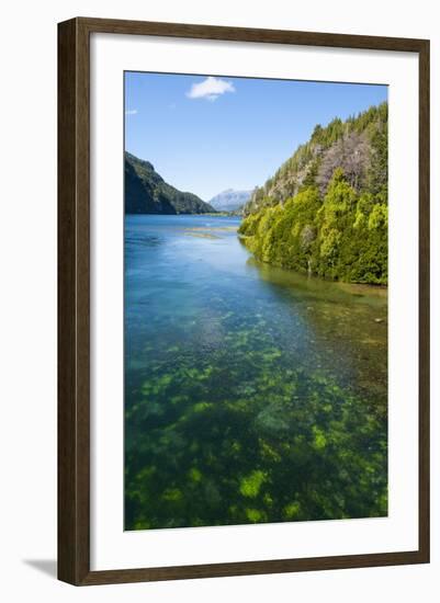 Crystal Clear Water in the Los Alerces National Park, Chubut, Patagonia, Argentina, South America-Michael Runkel-Framed Photographic Print