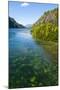 Crystal Clear Water in the Los Alerces National Park, Chubut, Patagonia, Argentina, South America-Michael Runkel-Mounted Photographic Print