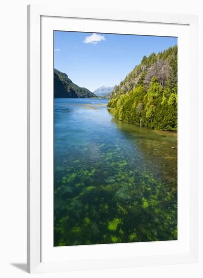 Crystal Clear Water in the Los Alerces National Park, Chubut, Patagonia, Argentina, South America-Michael Runkel-Framed Photographic Print