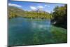 Crystal Clear Water in the Los Alerces National Park, Chubut, Patagonia, Argentina, South America-Michael Runkel-Mounted Photographic Print