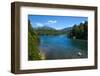 Crystal Clear Water in the Los Alerces National Park, Chubut, Patagonia, Argentina, South America-Michael Runkel-Framed Photographic Print