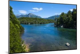 Crystal Clear Water in the Los Alerces National Park, Chubut, Patagonia, Argentina, South America-Michael Runkel-Mounted Photographic Print