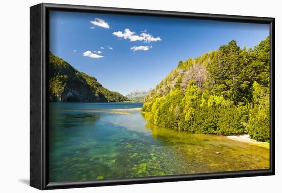 Crystal Clear Water in the Los Alerces National Park, Chubut, Patagonia, Argentina, South America-Michael Runkel-Framed Photographic Print