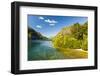 Crystal Clear Water in the Los Alerces National Park, Chubut, Patagonia, Argentina, South America-Michael Runkel-Framed Photographic Print