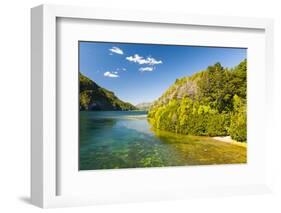 Crystal Clear Water in the Los Alerces National Park, Chubut, Patagonia, Argentina, South America-Michael Runkel-Framed Photographic Print