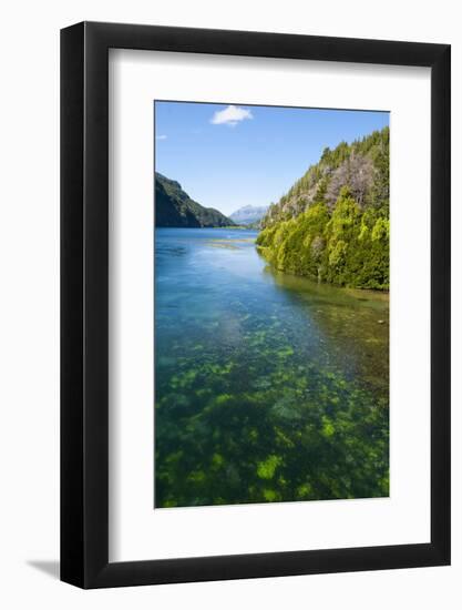 Crystal Clear Water in the Los Alerces National Park, Chubut, Patagonia, Argentina, South America-Michael Runkel-Framed Photographic Print