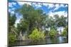 Crystal clear water in the Utwe lagoon, UNESCO Biosphere Reserve, Kosrae, Federated States of Micro-Michael Runkel-Mounted Photographic Print