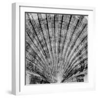 Crystal Cove #40-Alan Blaustein-Framed Photographic Print