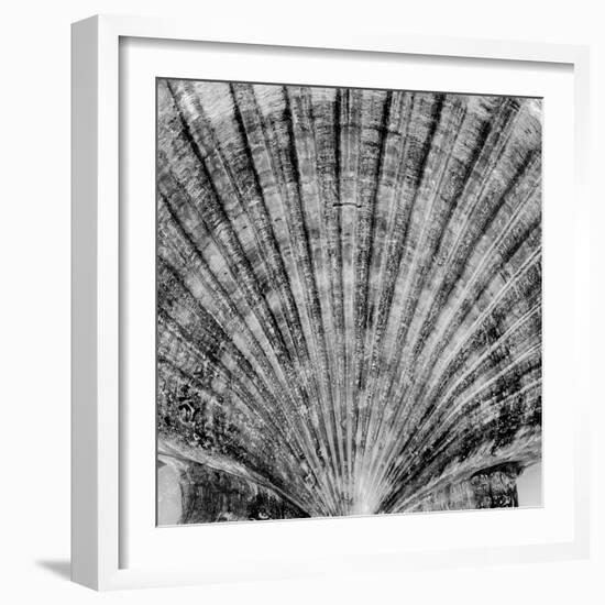 Crystal Cove #40-Alan Blaustein-Framed Photographic Print