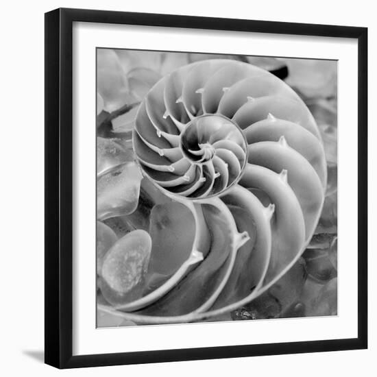 Crystal Cove #44-Alan Blaustein-Framed Photographic Print