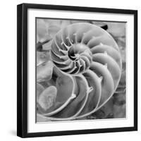 Crystal Cove #44-Alan Blaustein-Framed Photographic Print