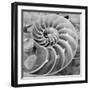 Crystal Cove #44-Alan Blaustein-Framed Photographic Print