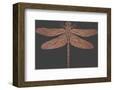 Crystal Dragonfly-Otto Gibb-Framed Giclee Print