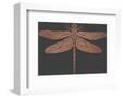 Crystal Dragonfly-Otto Gibb-Framed Giclee Print