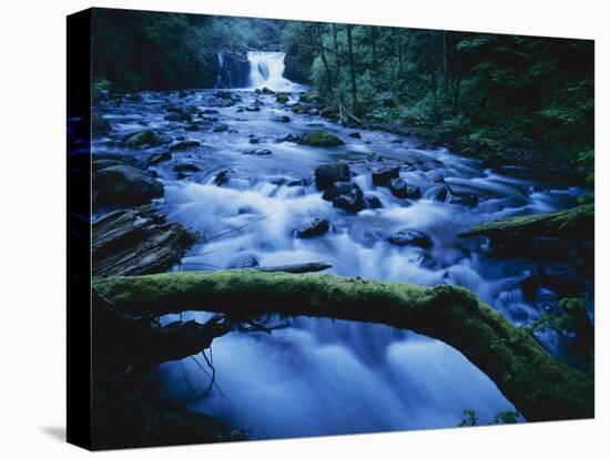 Crystal Falls, McDowell Creek Falls Country Park, Oregon, USA-Charles Gurche-Stretched Canvas