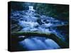 Crystal Falls, McDowell Creek Falls Country Park, Oregon, USA-Charles Gurche-Stretched Canvas