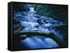 Crystal Falls, McDowell Creek Falls Country Park, Oregon, USA-Charles Gurche-Framed Stretched Canvas