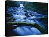 Crystal Falls, McDowell Creek Falls Country Park, Oregon, USA-Charles Gurche-Stretched Canvas