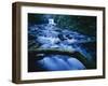 Crystal Falls, McDowell Creek Falls Country Park, Oregon, USA-Charles Gurche-Framed Photographic Print