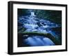 Crystal Falls, McDowell Creek Falls Country Park, Oregon, USA-Charles Gurche-Framed Photographic Print