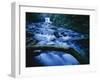 Crystal Falls, McDowell Creek Falls Country Park, Oregon, USA-Charles Gurche-Framed Photographic Print