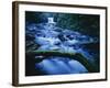 Crystal Falls, McDowell Creek Falls Country Park, Oregon, USA-Charles Gurche-Framed Photographic Print