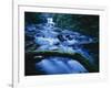 Crystal Falls, McDowell Creek Falls Country Park, Oregon, USA-Charles Gurche-Framed Photographic Print