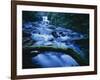 Crystal Falls, McDowell Creek Falls Country Park, Oregon, USA-Charles Gurche-Framed Photographic Print