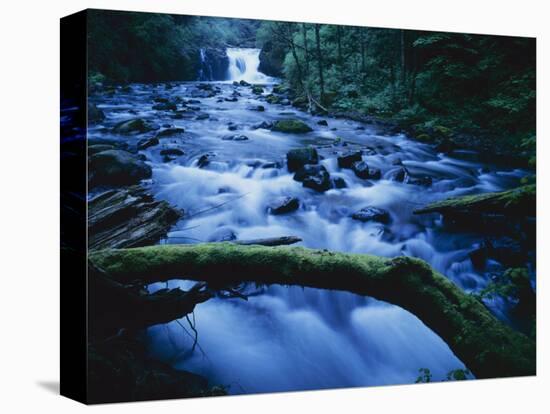 Crystal Falls, McDowell Creek Falls Country Park, Oregon, USA-Charles Gurche-Stretched Canvas