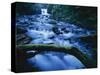 Crystal Falls, McDowell Creek Falls Country Park, Oregon, USA-Charles Gurche-Stretched Canvas