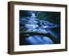 Crystal Falls, McDowell Creek Falls Country Park, Oregon, USA-Charles Gurche-Framed Photographic Print