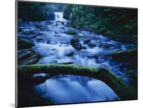 Crystal Falls, McDowell Creek Falls Country Park, Oregon, USA-Charles Gurche-Mounted Photographic Print