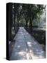 Crystal Glass Walkway Marking Spot of Indira Gandhi's Assassination, Akbar Road, India-John Henry Claude Wilson-Stretched Canvas