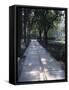 Crystal Glass Walkway Marking Spot of Indira Gandhi's Assassination, Akbar Road, India-John Henry Claude Wilson-Framed Stretched Canvas