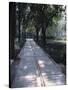 Crystal Glass Walkway Marking Spot of Indira Gandhi's Assassination, Akbar Road, India-John Henry Claude Wilson-Stretched Canvas