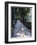 Crystal Glass Walkway Marking Spot of Indira Gandhi's Assassination, Akbar Road, India-John Henry Claude Wilson-Framed Photographic Print