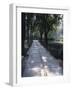 Crystal Glass Walkway Marking Spot of Indira Gandhi's Assassination, Akbar Road, India-John Henry Claude Wilson-Framed Photographic Print